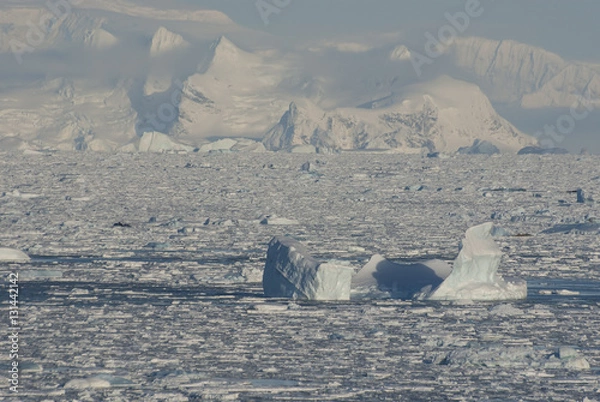 Obraz west coast of the Antarctic Peninsula in the winter ice and iceb