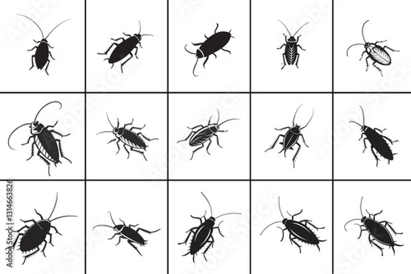 Fototapeta Cockroach Bug Vector Icon  Roach Silhouette Insect Black Illustration