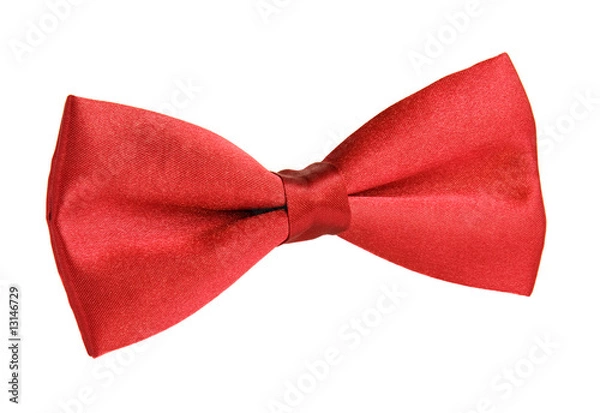 Obraz Red tie