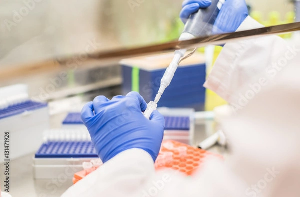 Obraz working in the biosafety cabinet