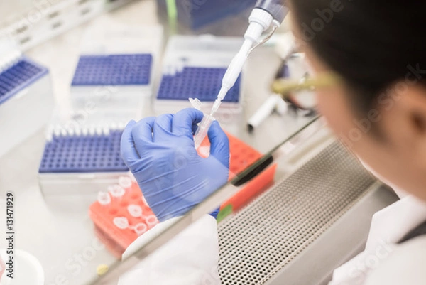 Obraz working in the biosafety cabinet