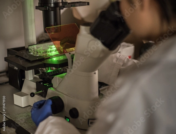 Obraz working with fluorescent microscope
