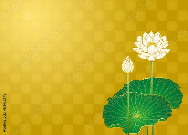 Fototapeta 金箔と蓮