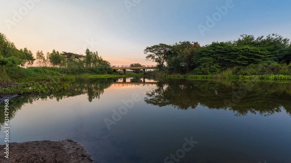 Obraz Image of tree water reflections with a beautiful cloudy blue sky