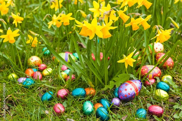 Fototapeta easter eggs with daffodils
