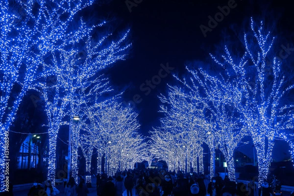 Obraz 冬の公園　青いイルミネーション