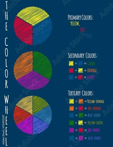 Obraz The Color Wheel. Basic Color Theory. Vector infographics