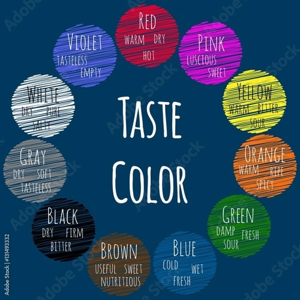 Obraz Taste Color. Basic Color Theory. Vector infographics