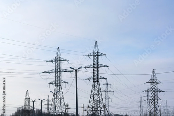Fototapeta Several metal electricity pylon in the field.
