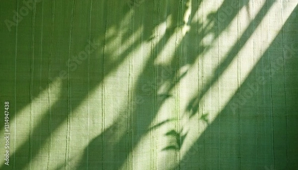 Fototapeta abstract foliage sunlight shadow silhouette on sage green linen curtain elegant sustainable background for eco business branding identity