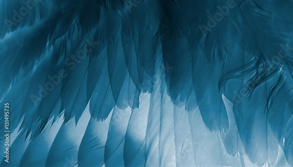 Fototapeta white wing