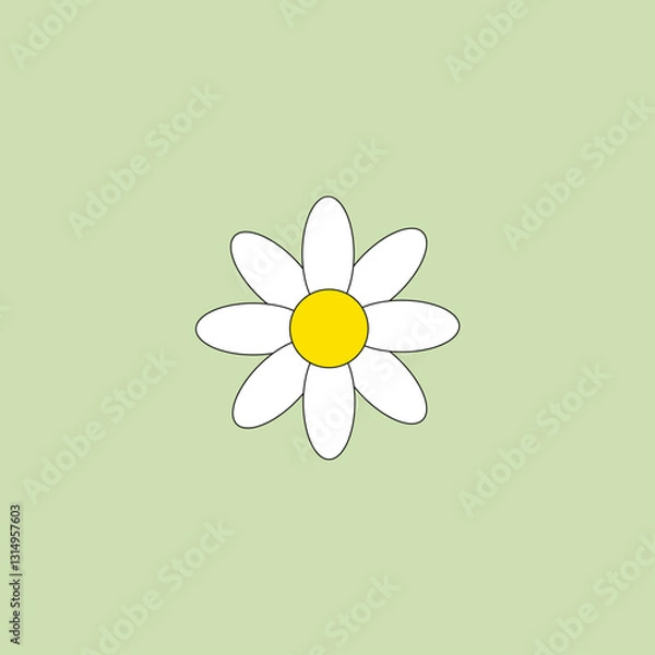 Fototapeta Chamomile