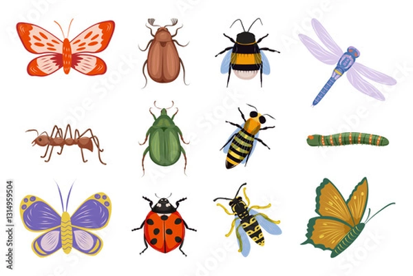 Fototapeta Set of summer meadow and forest insects. Butterfly, dragonfly, ant, ladybug, bee, bumblebee, wasp, caterpillar, green beetle and cockchafer. Top view. Isolated vector illustration on white background.