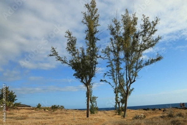 Fototapeta POINTE AU SEL , PITON DES ROCHES TENDRES , SAINT LEU , REUNION ISLAND , FRANCE 