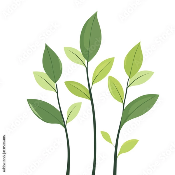 Fototapeta 2D flat vector illustration soft green leaves growing in spring icon isolated on a white background.

