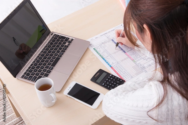 Obraz 確定申告・女性