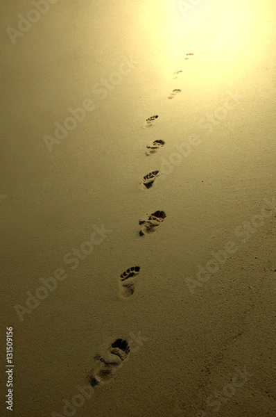 Obraz Spur ins Licht