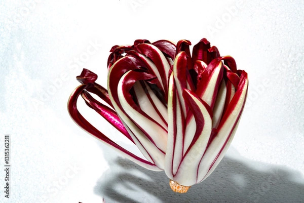 Obraz Treviso's red chicory on show