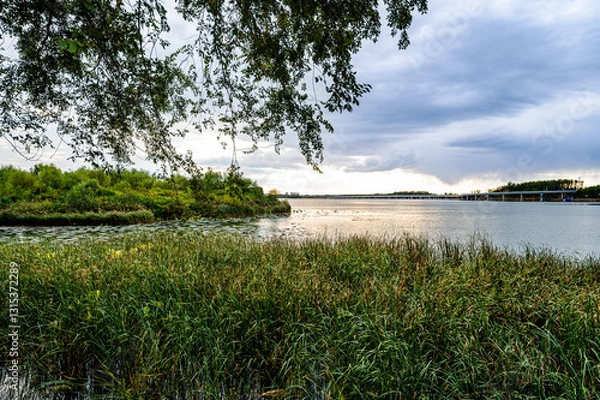 Fototapeta The scenery of Dingxiang Lake Park in Shenyang, China in autumn