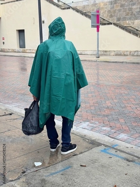 Obraz Stuck in the Rain