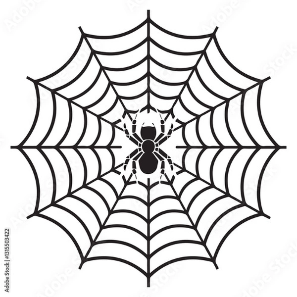 Fototapeta spider web vector on white background