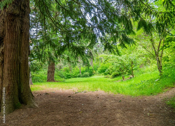 Obraz Daytime view of the landscape of Hoyt Arboretum