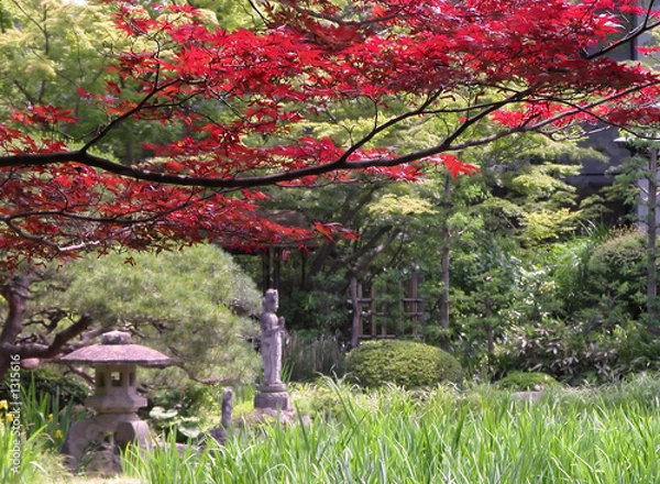 Fototapeta early autumn japanese garden