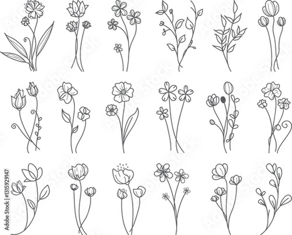 Obraz Gray floral line art, white background, design element, illustrations