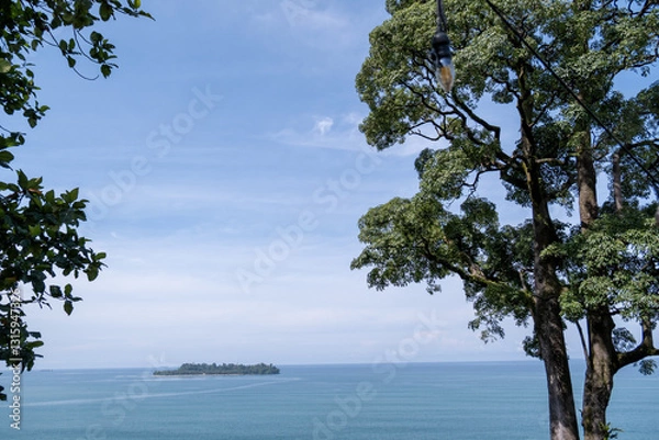 Fototapeta Big tree with green leaves and a calm blue ocean in the background, Padang, West Sumatra, Indonesia.