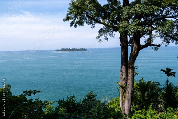 Fototapeta Big tree with green leaves and a calm blue ocean in the background, Padang, West Sumatra, Indonesia.