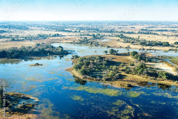Fototapeta Okavango delta (or Okavango Grassland) is one of the Seven Natural Wonders of Africa (view from the airplane) - Botswana