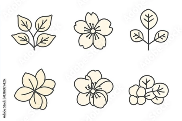 Fototapeta Simple cherry blossom flower illustrations, perfect for spring designs
