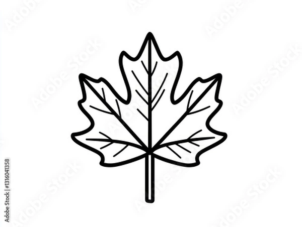 Fototapeta Simple maple leaf drawing, autumn design, white background, nature illustration