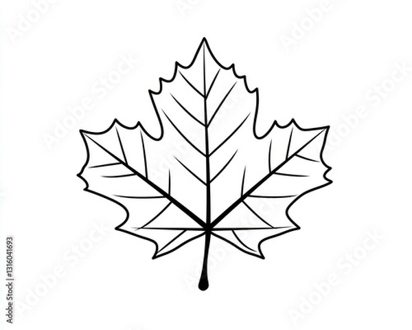 Fototapeta Simple maple leaf illustration, white background, autumn design, educational use