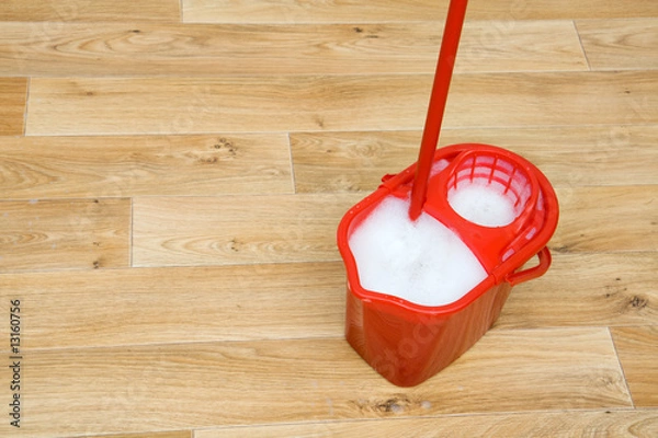 Obraz A red mop in a bucket