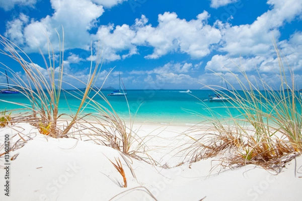 Fototapeta Piękna błękitna woda Whitehaven Beach w Whitsundays