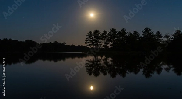 Fototapeta Full Moon Reflection Over Still Lake with Silhouetted Trees Landscape