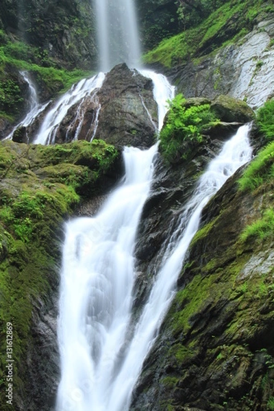 Obraz 雨乞いの滝