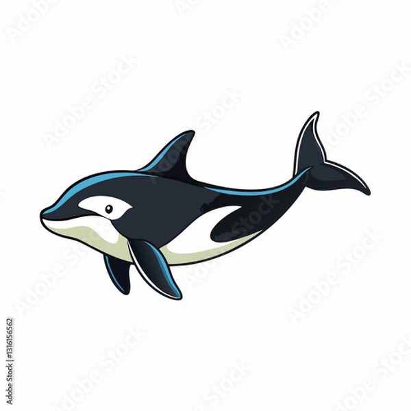 Obraz orca vector illustration