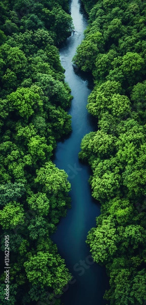Obraz River, dense forest in summer. View from above.