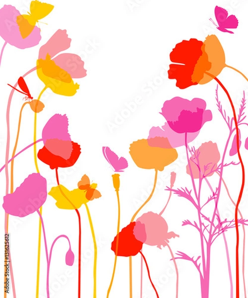 Obraz Poppy illustration