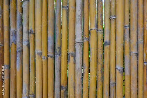Obraz bamboo fence background