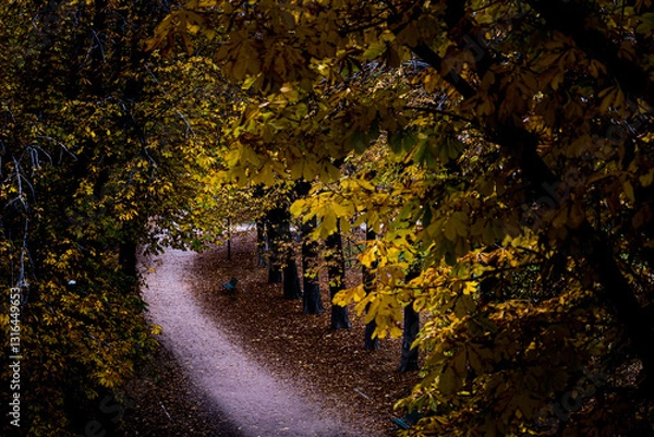 Obraz  serene autumn path covered in golden leaves winding through a peaceful park