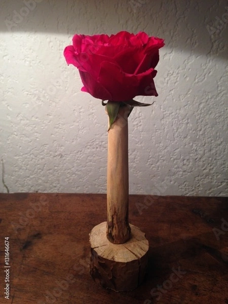 Obraz rose du matin soliflor