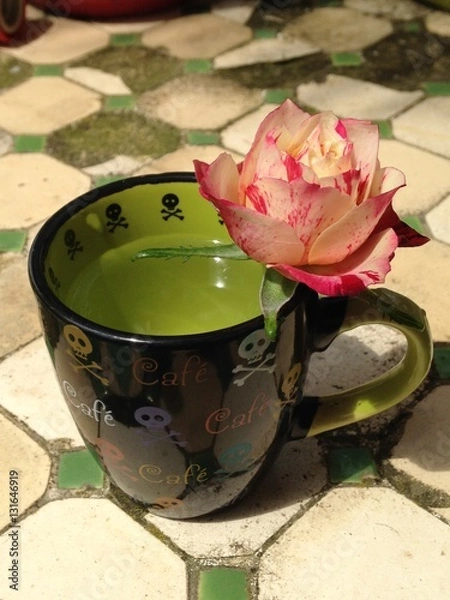 Obraz rose pied dans l'eau