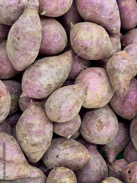 Obraz Beetroot at a fresh market. Beetroot, Latin name - Beta vulgaris, at a fresh market