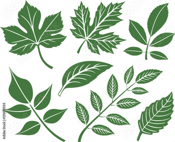Fototapeta Leaf icons set isolated on white background. Leaf logotype. Vector