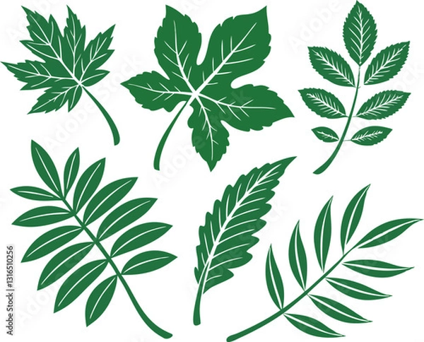 Fototapeta Leaf icons set isolated on white background. Leaf logotype. Vector