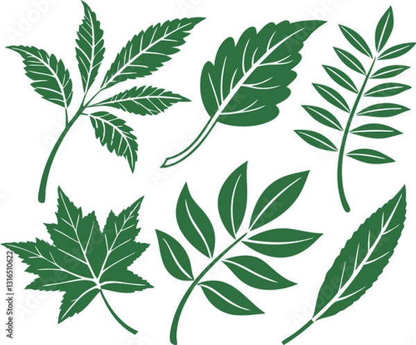 Fototapeta Leaf icons set isolated on white background. Leaf logotype. Vector