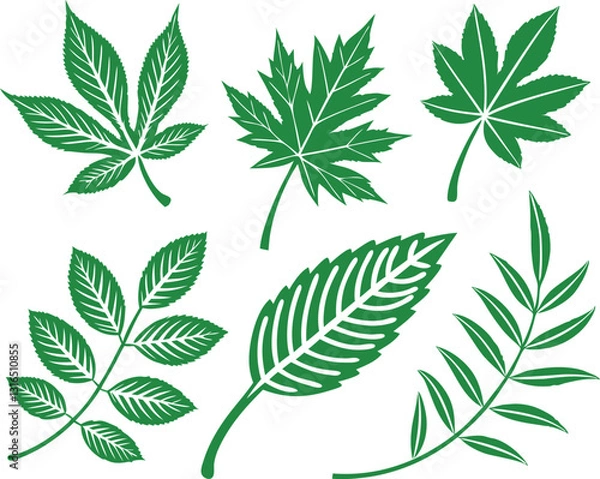 Fototapeta Leaf icons set isolated on white background. Leaf logotype. Vector